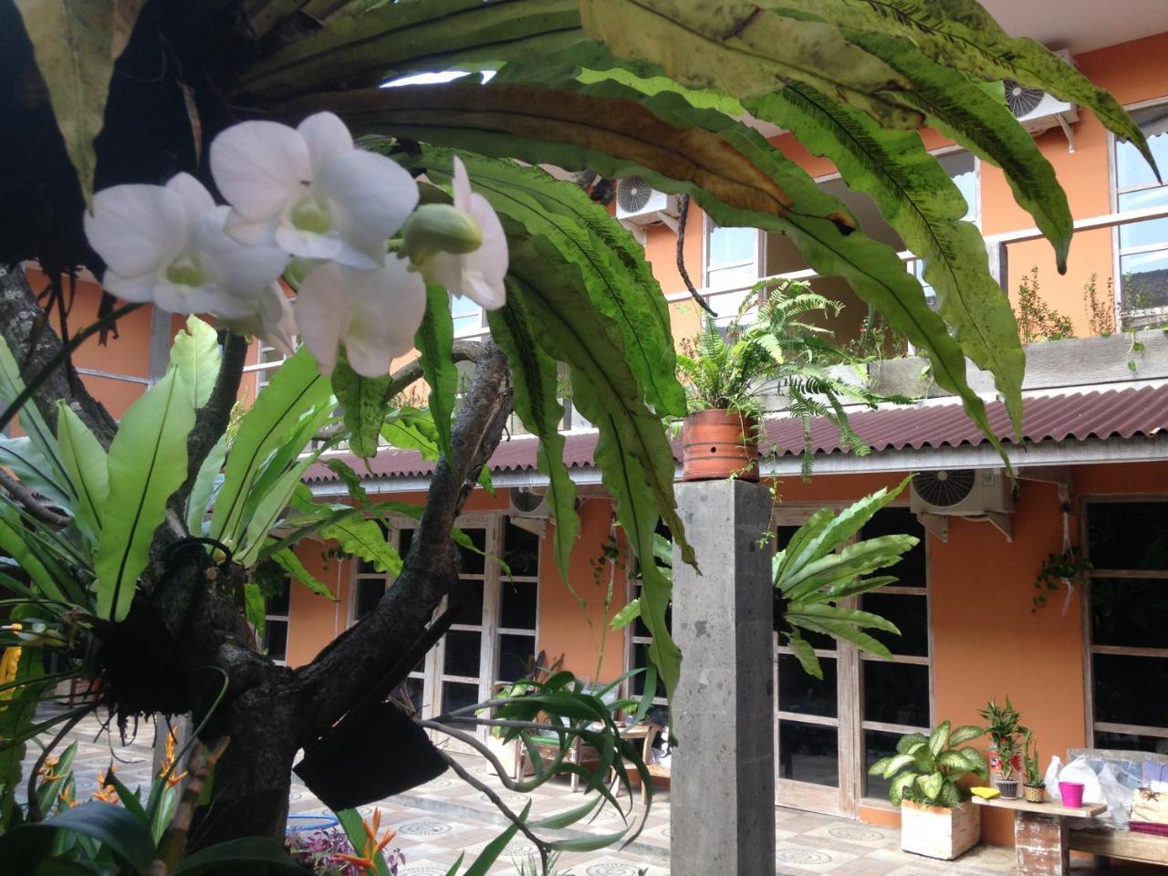 Canggu Pinpoint Rooms Luaran gambar